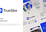 design a custom logo and brand identity style guide